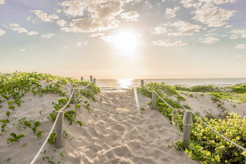 Southern Seashore - Wax Melts