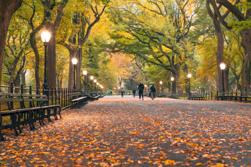 Autumn in New York