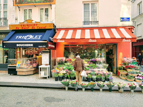 Flower Market in Paris