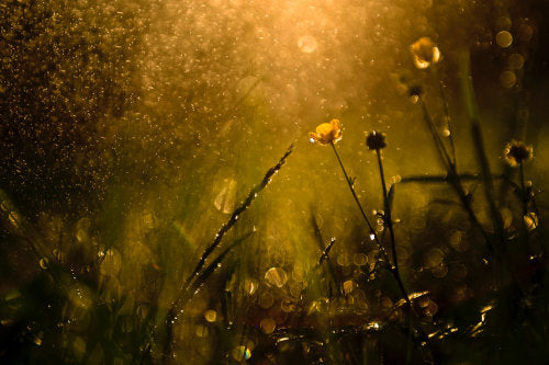 Love a Rainy Night - Wax Melts